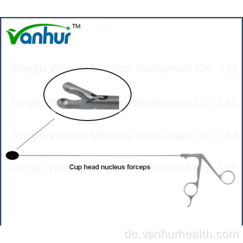 Lendenwirbelsäule transforaminale Pulposuszange Pfannenkopf